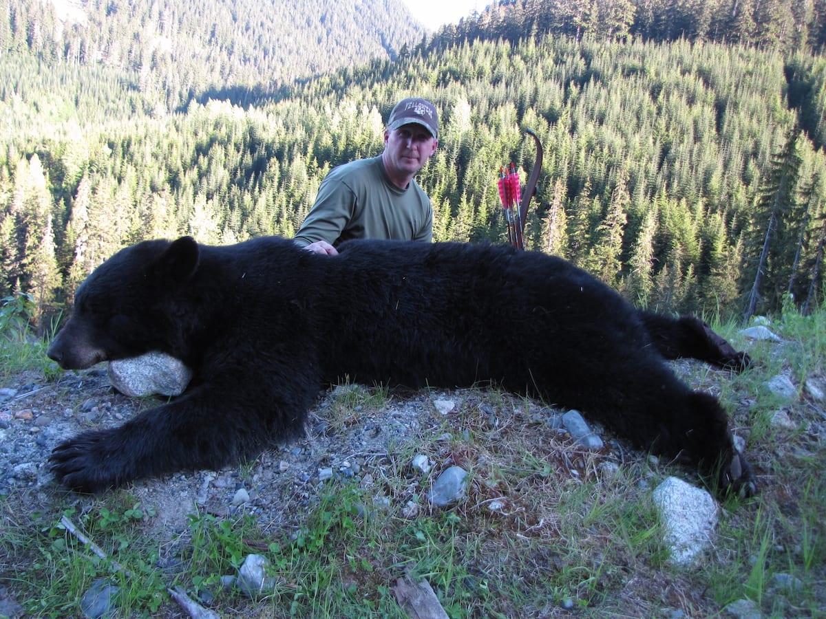 Spring lodge hunt. Great bear at close range with a recurve.