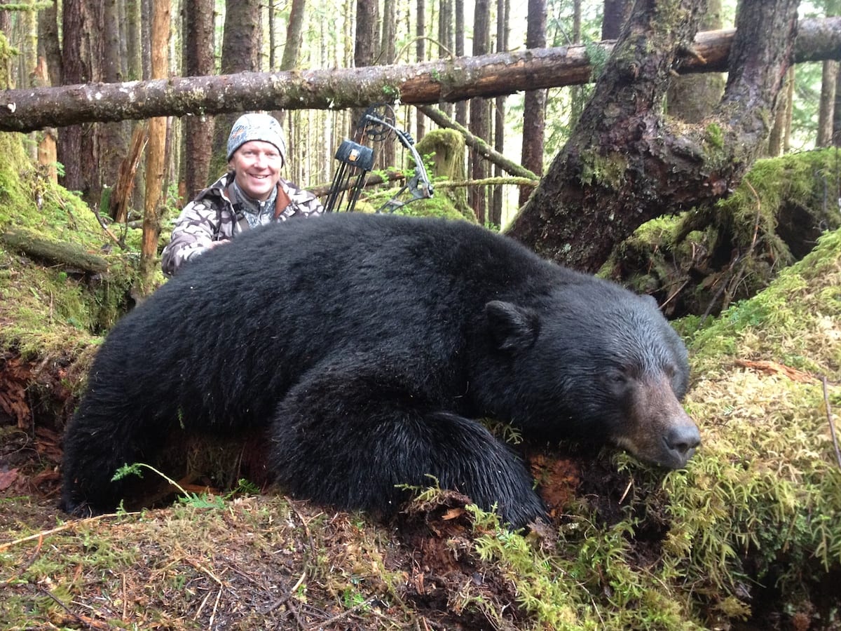 Guide Brad helped his client arrow this bear early in the spring back in the old growth.