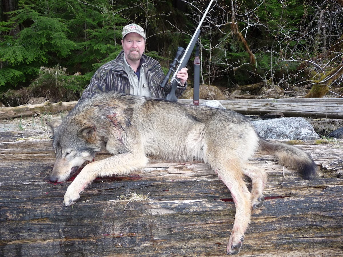 Found this wolf while glassing for bruins. We wont mention the band aid above John's eye!