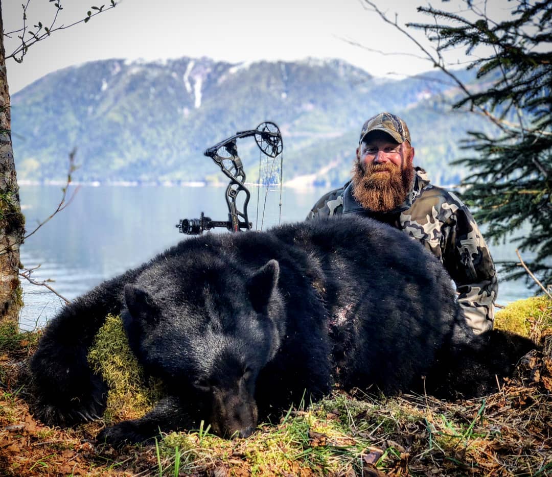 Beauty black bear shot near Vancouver Island on the BC Coast with bow and arrow